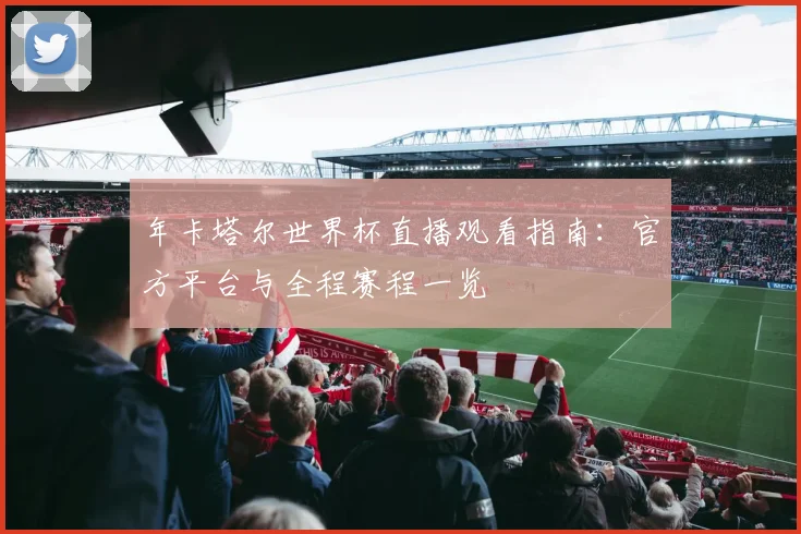 年卡塔尔世界杯直播观看指南：官方平台与全程赛程一览
