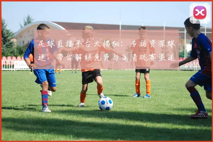 足球直播平台大揭秘：专访资深球迷，带你解锁免费与高清观赛渠道